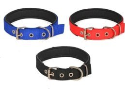 Pet Pretty Ayarlanabilir Boyun Köpek Tasması 2.5 x 55 cm Çok Renkli