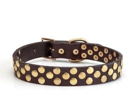 CecePet Aten Ayarlanabilir Köpek Tasması 36 - 45 cm Kahverengi