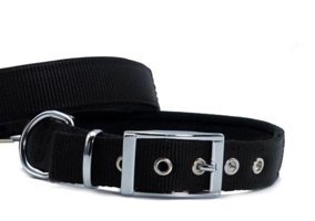 Doggie Elit Ayarlanabilir Boyun Köpek Tasması 2.5 x 37 - 45 cm Siyah