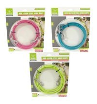 Actirex Köpek Tasması 0.5 cm x 5 m Çok Renkli