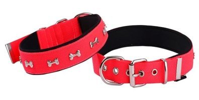 Actirex Ayarlanabilir Boyun Köpek Tasması 2.5 x 42 cm Kırmızı