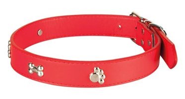 Sanlian Sl2190 Ayarlanabilir Boyun Köpek Tasması 1.5 x 35 cm kırmızı