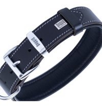 Doggie Firstclass Ayarlanabilir Boyun Köpek Tasması 3.5 x 52 - 60 cm Siyah