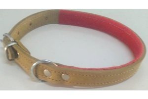 Le-Sar Ls-451 Köpek Tasması 2 x 50 cm Çok Renkli