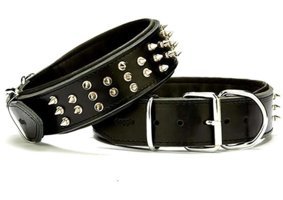 Doggie Ayarlanabilir Boyun Köpek Tasması 5 x 60 - 70 cm Siyah