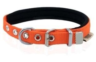 Doggie Konfor Ayarlanabilir Boyun Köpek Tasması 1.5 x 25 - 30 cm Turuncu