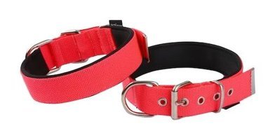 Actirex Ayarlanabilir Boyun Köpek Tasması 2.5 x 57 cm Kırmızı