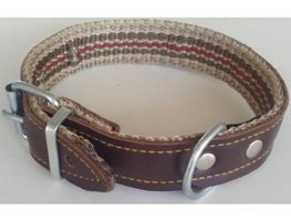 Le-Sar Ls-08 Ayarlanabilir Köpek Tasması 2.5 x 50 cm Çok Renkli