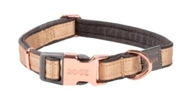 Rogz Urban Ayarlanabilir Boyun Köpek Tasması XS Altın