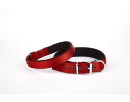 Doggie Comfort Ayarlanabilir Boyun Köpek Tasması 45 - 52 cm Kırmızı