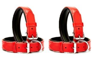 Desingshop Ayarlanabilir Boyun Köpek Tasması 2.5 x 56 cm Kırmızı