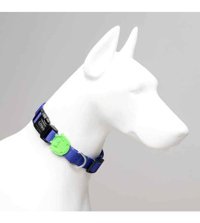 Lindo Monster Ayarlanabilir Boyun Köpek Tasması L Mavi