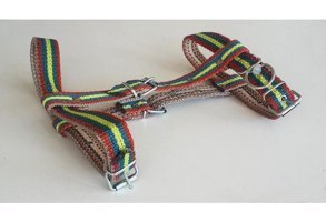 Le-Sar Ls-50 Ayarlanabilir Köpek Tasması Çok Renkli
