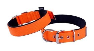 Actirex Ayarlanabilir Boyun Köpek Tasması S Turuncu
