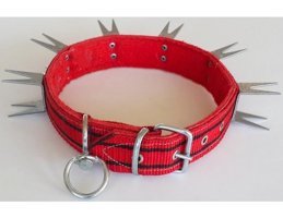 Le-Sar Ls-804 Ayarlanabilir Boyun Köpek Tasması 4 x 70 cm Çok Renkli