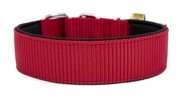 Doggie Konfor Ayarlanabilir Boyun Köpek Tasması 5 x 55 - 60 cm Kırmızı