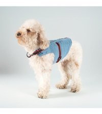 Patipatron Kaçış Önleyici Airtag Ayarlanabilir Köpek Tasması XS Mavi