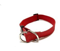 Ehlipet Ayarlanabilir Eğitim Tasması Köpek Tasması 30 - 50 cm Kırmızı