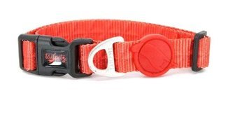 Tailpetz Prism Ayarlanabilir Boyun Köpek Tasması 40 cm Kırmızı