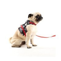 Patipatron Kaçış Önleyici Ayarlanabilir Göğüs Köpek Tasması XS Kırmızı