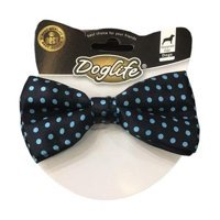 Doglife Köpek Tasması 12 cm Lacivert