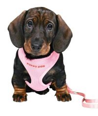 Trixie Ayarlanabilir Köpek Tasması Pembe