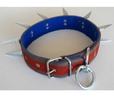 Le-Sar Ls-803 Ayarlanabilir Köpek Tasması 5 x 70 cm Çok Renkli