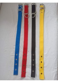 Kozaklı Ayarlanabilir Boyun Köpek Tasması 3 x 60 cm Çok Renkli