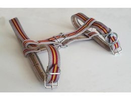 Le-Sar Ls-60 Köpek Tasması Çok Renkli