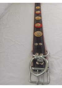 Kozaklı Ayarlanabilir Boyun Köpek Tasması 5 x 65 x 70 x 75 cm Siyah