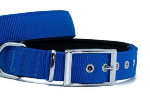 Doggie Elit Ayarlanabilir Boyun Köpek Tasması 3 x 47 x 55 cm Mavi