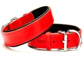 Doggie Sbt-3010 Ayarlanabilir Boyun Köpek Tasması Kırmızı
