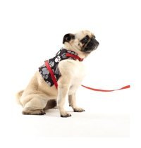 Patipatron Kaçış Önleyici Ayarlanabilir Göğüs Köpek Tasması M Kırmızı