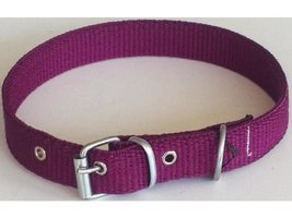 Le-Sar Ls-03 Ayarlanabilir Köpek Tasması 2.5 x 60 cm Çok Renkli