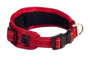 Rogz Utility Gevoerde Ayarlanabilir Boyun Köpek Tasması XL Kırmızı