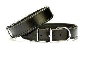 Doggie Ayarlanabilir Boyun Köpek Tasması 4 x 52 - 60 cm Siyah
