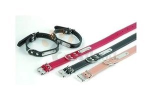 Eastland Ayarlanabilir Boyun Köpek Tasması 31 cm Çok Renkli
