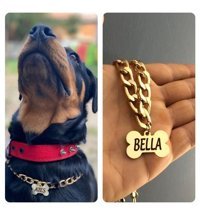 Petisim İsimli Köpek Tasması Altın