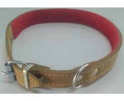 Le-Sar Ls-452 Ayarlanabilir Köpek Tasması 2.5 x 60 cm Çok Renkli