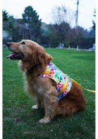 Patipatron Kaçış Önleyici Ayarlanabilir Göğüs Köpek Tasması 2XL Sarı