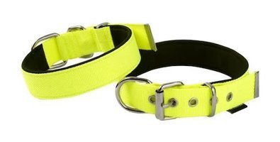 Actirex Ayarlanabilir Boyun Köpek Tasması 2 x 58 cm Sarı