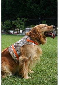 Patipatron Kaçış Önleyici Ayarlanabilir Göğüs Köpek Tasması L Turuncu