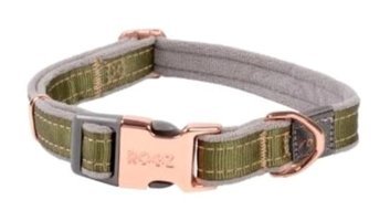 Rogz Urban Ayarlanabilir Boyun Köpek Tasması XS yeşil