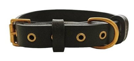 CecePet Tengri Ayarlanabilir Köpek Tasması 36 - 45 cm Siyah