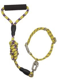 Zichen Lux Ayarlanabilir Boyun Köpek Tasması L Mor - Sarı