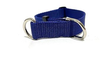 Ehlipet Ayarlanabilir Eğitim Tasması Köpek Tasması 30 - 50 cm Mavi