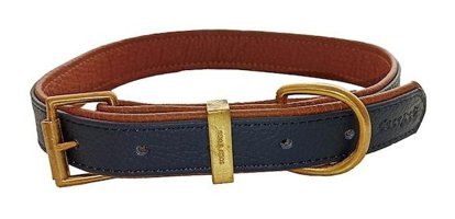 CecePet Baldur Ayarlanabilir Köpek Tasması 36 - 45 cm Mavi