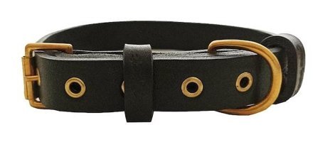 CecePet Tengri Ayarlanabilir Köpek Tasması 46 - 55 cm Siyah