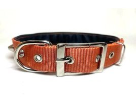 Ehlipet Ayarlanabilir Boyun Köpek Tasması 3 x 55 - 45 cm Turuncu