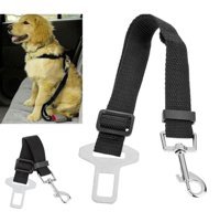 Bundera Ayarlanabilir Köpek Tasması Lacivert